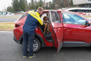 Prevoz psov in varnost AMZS Vransko (12)