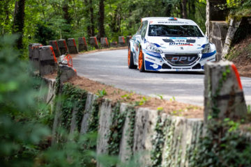 Rally Mehle Nova Gorica (4)