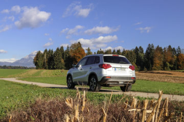 Suzuki Vitara (8)
