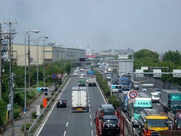 Road_-_panoramio_(39)