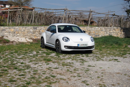 Volkswagen Beetle vodilna