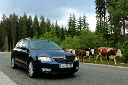 Skoda Octavia Combi 1