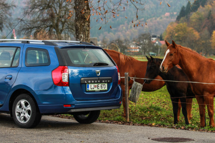 Dacia Logan MCV-1