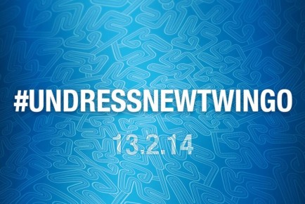 UndressNewTwingo