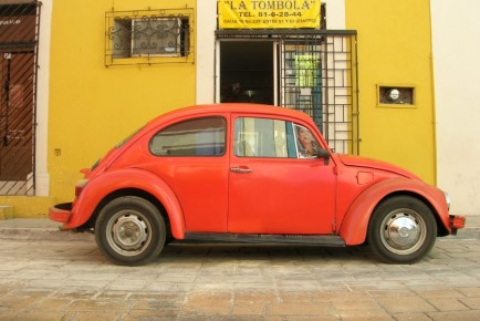 beetle_campeche_orange_350702_h