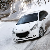 Rok Turk Blanka Kacin Peugeot 208 R2 (5)