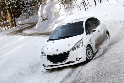 Rok Turk Blanka Kacin Peugeot 208 R2 (5)