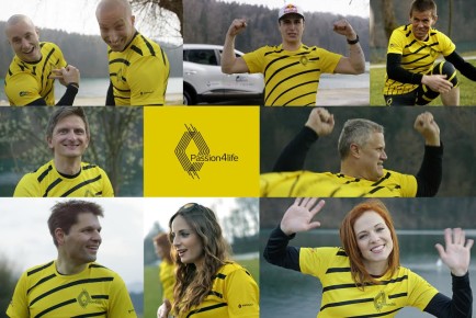 Renault Wings for Life