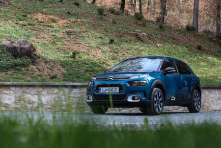 Citroen C4 Cactus (3)