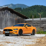 FORD MUSTANG 01