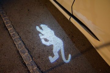 FORD PUMA VIGNALE 28