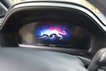 FORD PUMA VIGNALE 29