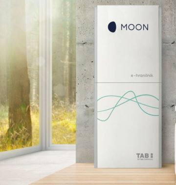 moon-haus-waldfenster