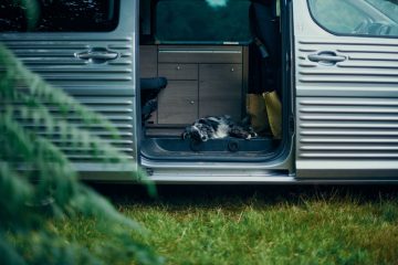 Citroen Type Holiday_1