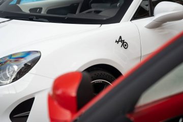 ALPINE A110 R 70 (11)