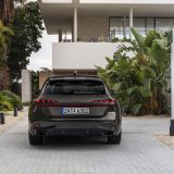 Static photo, 
Colour: Madeira Brown metallic