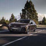 Dynamic photo, 
Colour: Madeira Brown metallic
