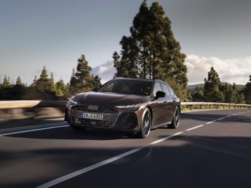 Dynamic photo, 
Colour: Madeira Brown metallic