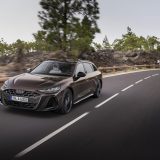 Dynamic photo, 
Colour: Madeira Brown metallic