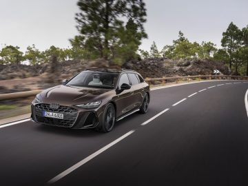 Dynamic photo, 
Colour: Madeira Brown metallic