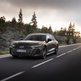 Dynamic photo, 
Colour: Madeira Brown metallic