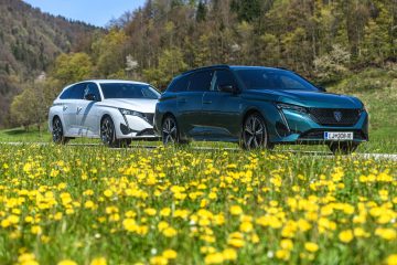 Peugeot 308 MHEV in 308 BlueHDI-11
