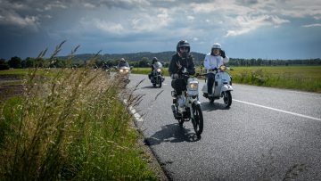 DGR_25-50