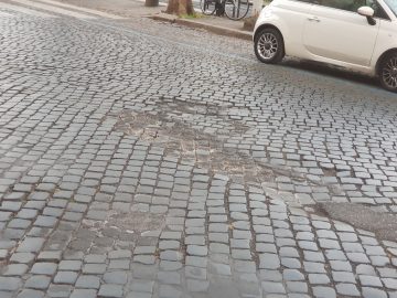 Rim_05