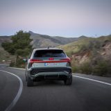 Dynamic photo (Logo illumination is only active while headlights are on low beam or high beam),
Colour: Sage green