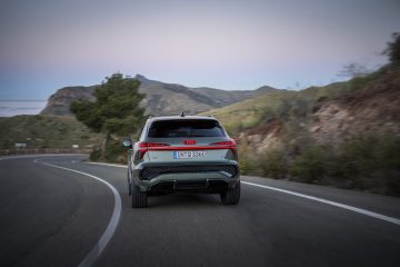 Dynamic photo (Logo illumination is only active while headlights are on low beam or high beam),
Colour: Sage green