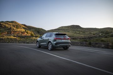 Dynamic photo (Logo illumination is only active while headlights are on low beam or high beam),
Colour: Sage green