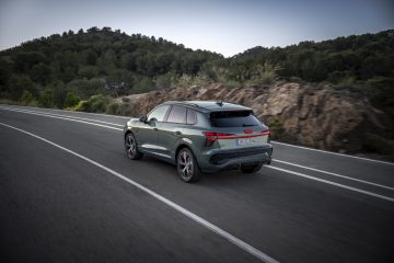 Dynamic photo (Logo illumination is only active while headlights are on low beam or high beam),
Colour: Sage green