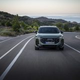 Dynamic photo,
Colour: Sage green