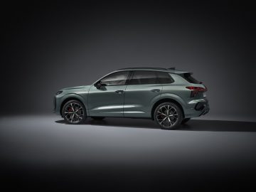 Static photo,
Colour: Sage green