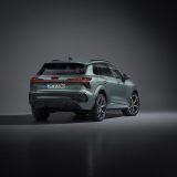 Static photo (Logo illumination is only active while headlights are on low beam or high beam),
Colour: Sage green
