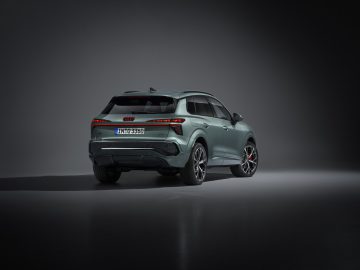 Static photo (Logo illumination is only active while headlights are on low beam or high beam),
Colour: Sage green