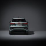 Static photo (Logo illumination is only active while headlights are on low beam or high beam),
Colour: Sage green