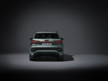 Static photo (Logo illumination is only active while headlights are on low beam or high beam),
Colour: Sage green