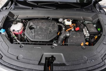 Geely Starray em-i PHEV-44
