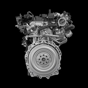 Horse B20_ (1)