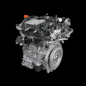 Horse B20_ (2)
