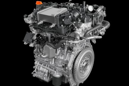 Horse B20_ (2)