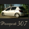 Uporabniški avatar