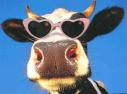 Uporabniški avatar