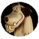 Uporabniški avatar