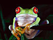 Uporabniški avatar