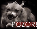 Uporabniški avatar