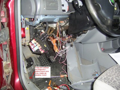 Octavia dalinc 016.jpg
