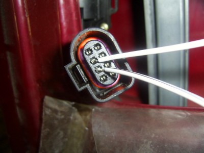 Octavia dalinc 011.jpg