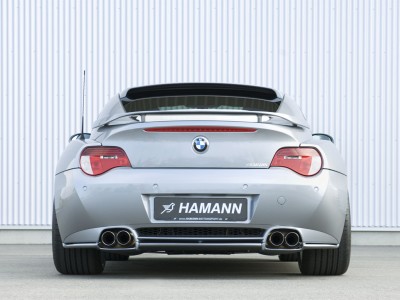 hamannZ407_09.jpg